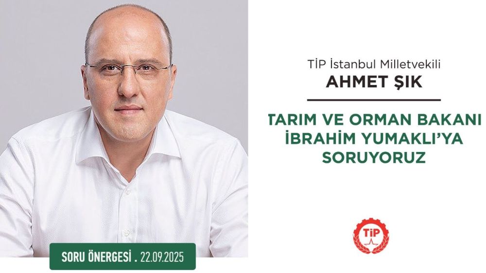 Akbelen'de Sökülen Zeytinler için Soru Önergesi