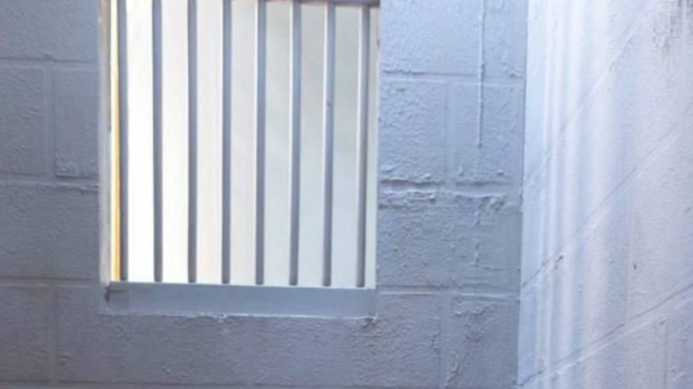 Türkiye kendi “demir kafes”iyle yüzleşmek zorunda