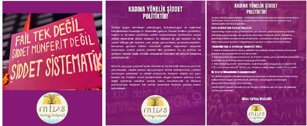 Fail Tek Değil, Şiddet Münferit Değil Sistematik