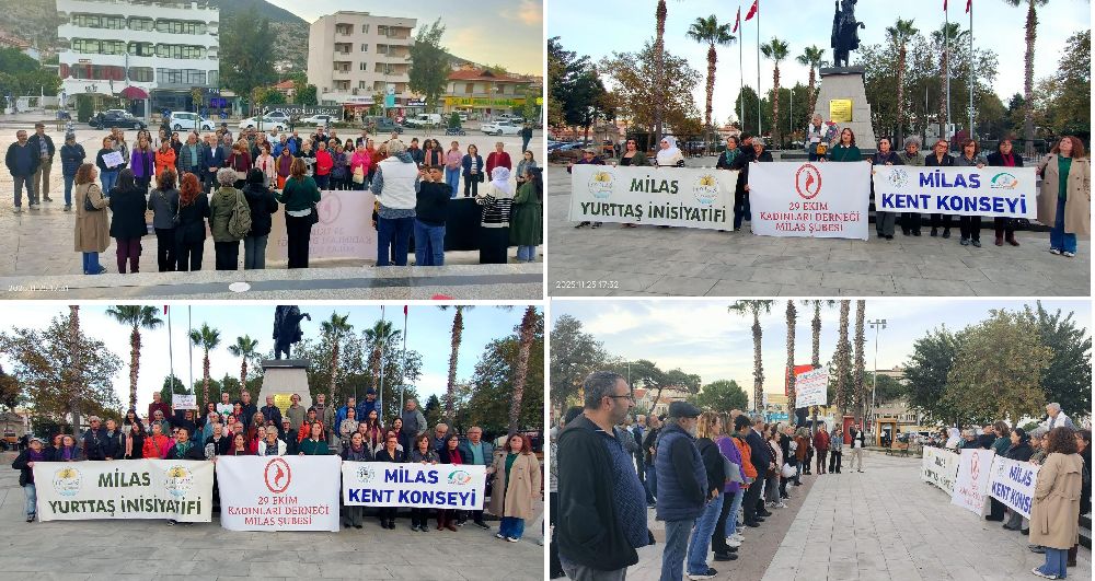 Fail Tek Değil, Şiddet Münferit Değil Sistematik