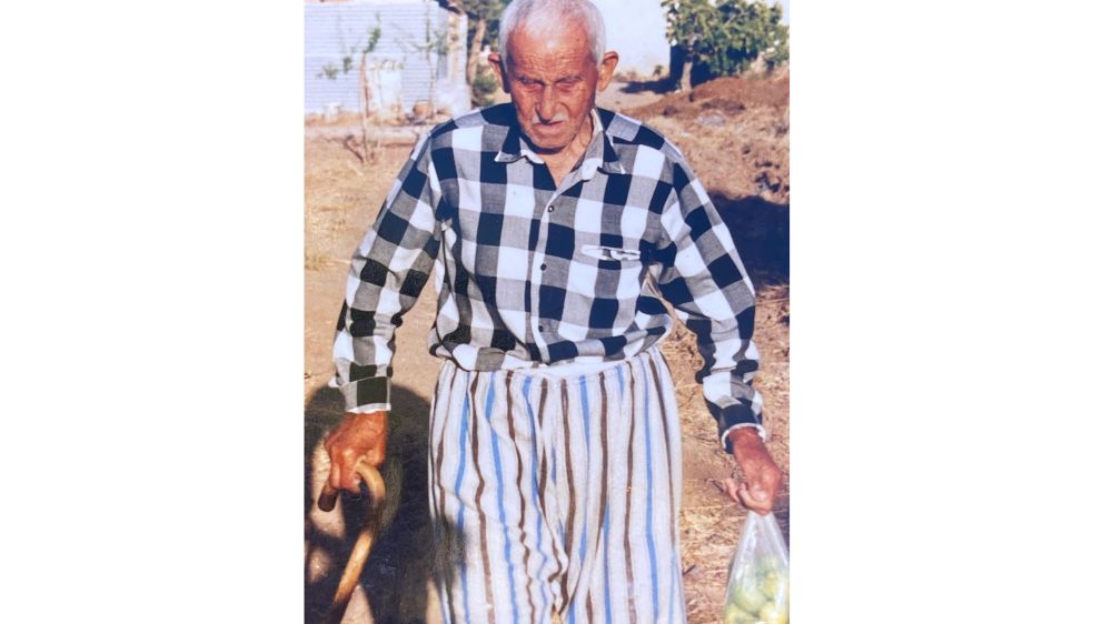 Pratik Zekâ ve Dil Ustası