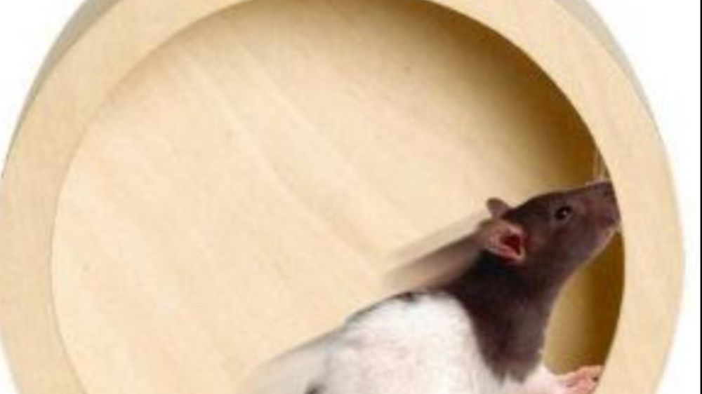 Z Kuşağı’ndan Boykot  Çağrısı !