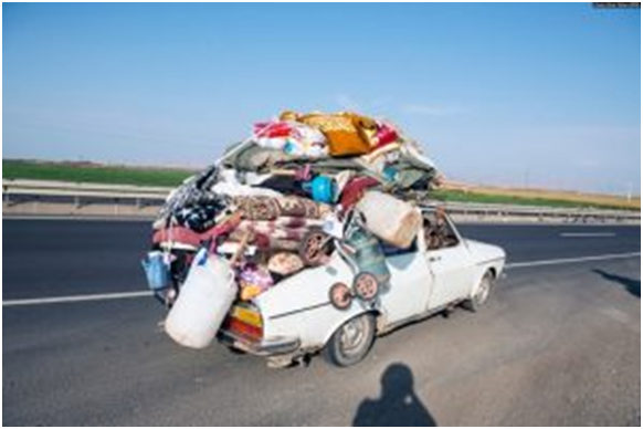 Anadolu Coğrafyasında DOMLAR 