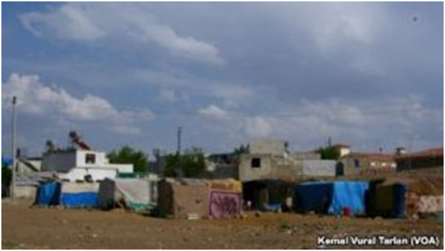 Anadolu Coğrafyasında DOMLAR 