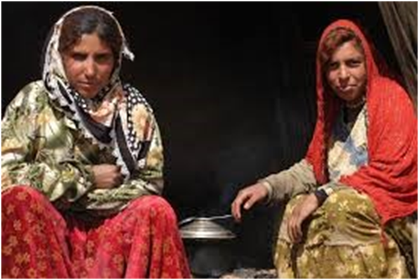 Anadolu Coğrafyasında DOMLAR 