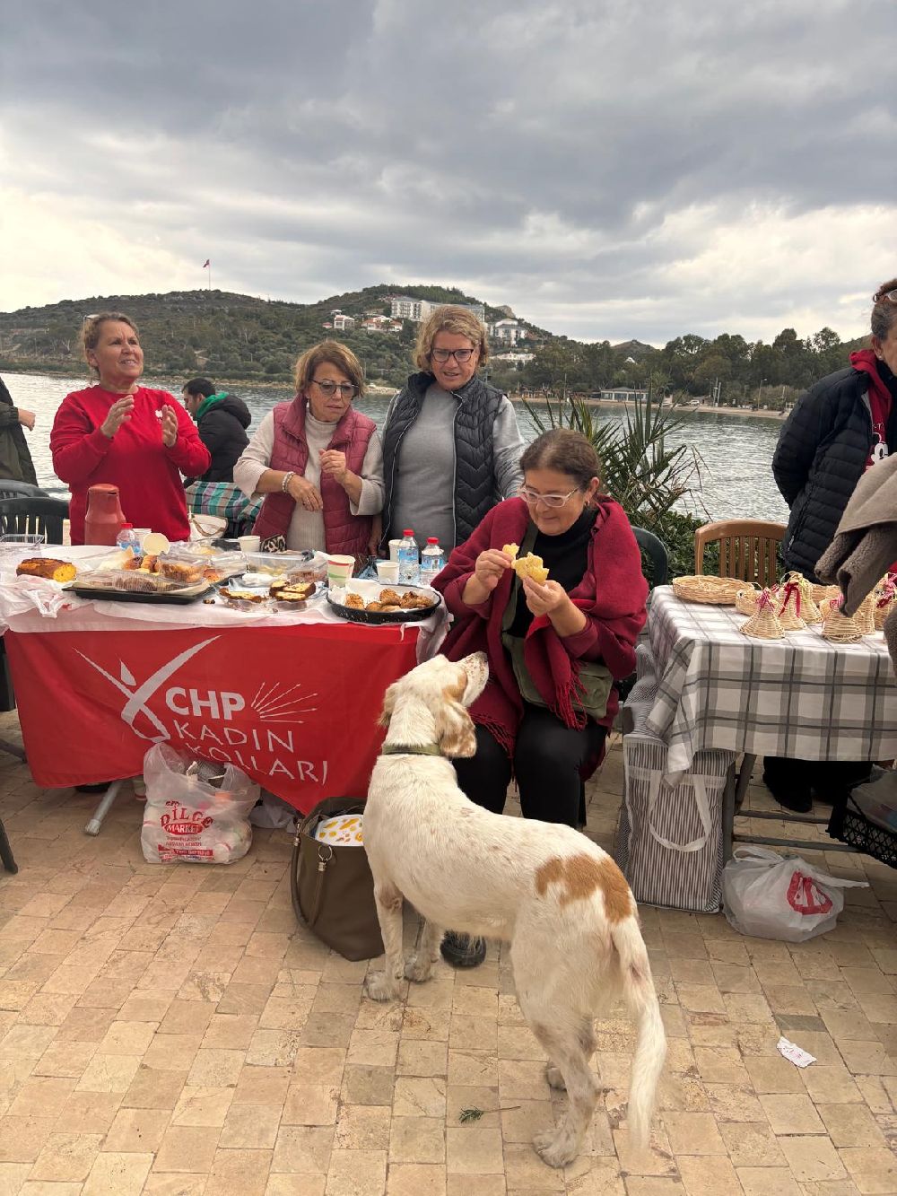 Datça’da Sokak Hayvanları İçin Noel Pazarı Açıldı