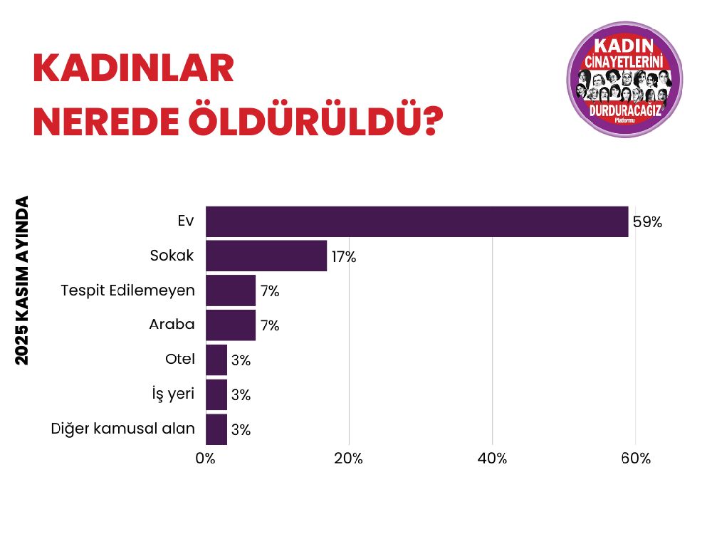 Kasım Ayında 29 Kadın Cinayeti, 22 Şüpheli Kadın Ölümü