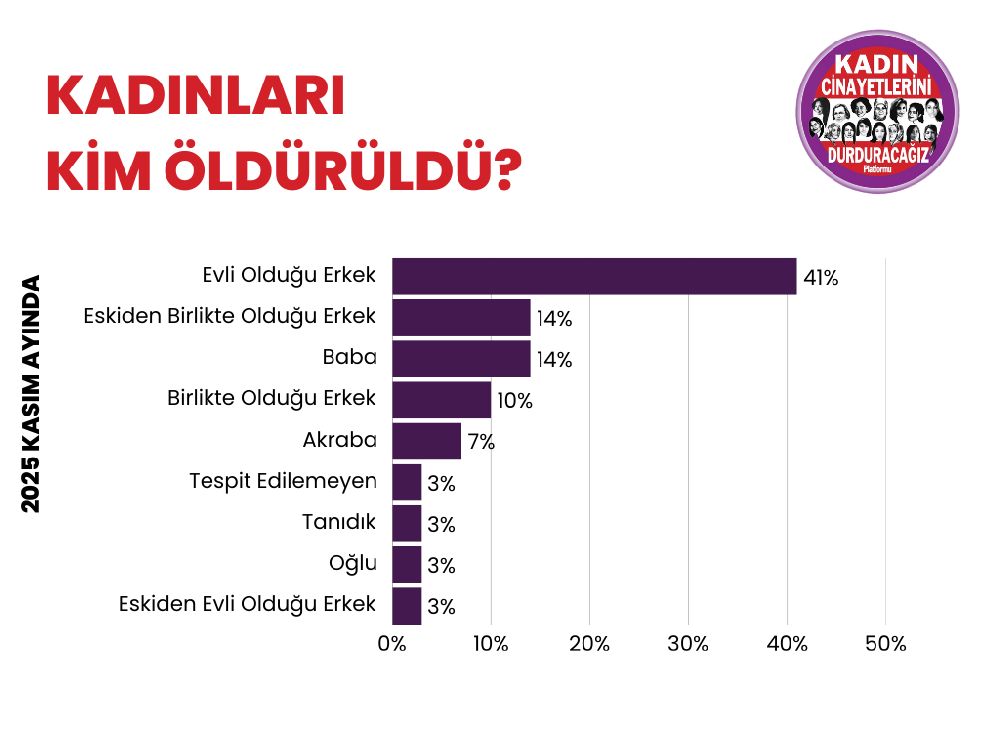 Kasım Ayında 29 Kadın Cinayeti, 22 Şüpheli Kadın Ölümü