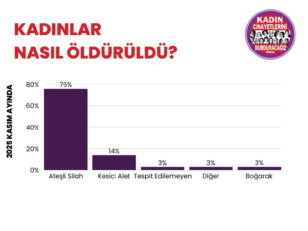 Kasım Ayında 29 Kadın Cinayeti, 22 Şüpheli Kadın Ölümü
