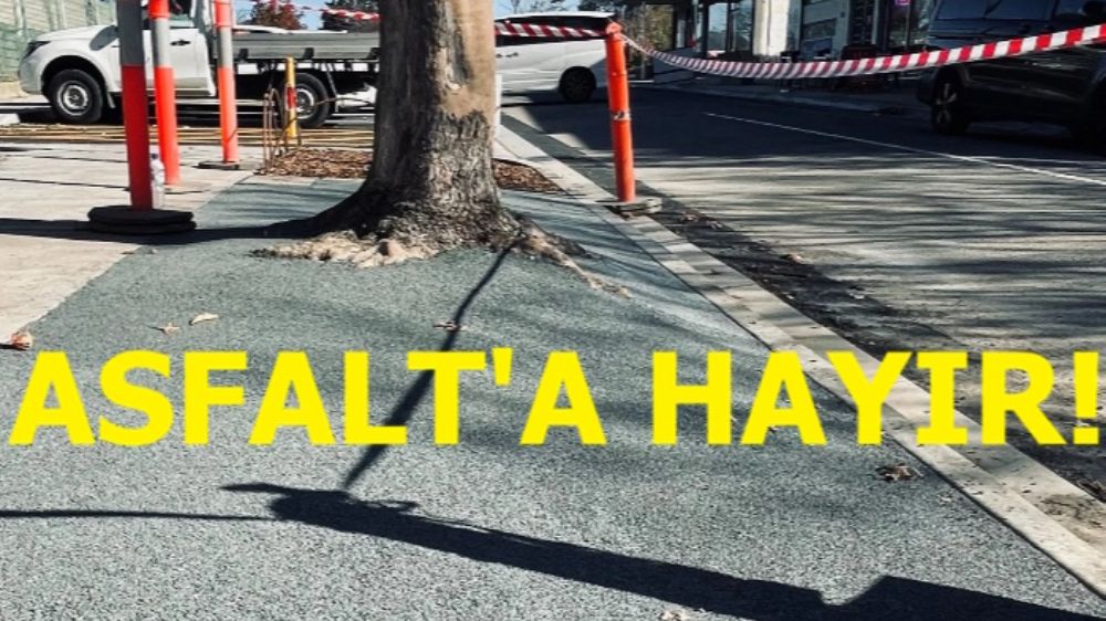 Şu Asfalt Meselesi...
