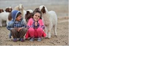        Bir Varoluş biçimi Olarak, Anadil