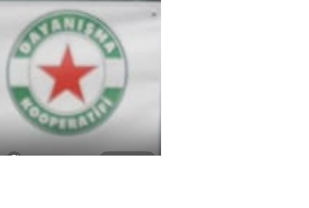   Datça’nın Orta Yeri Dayanışma