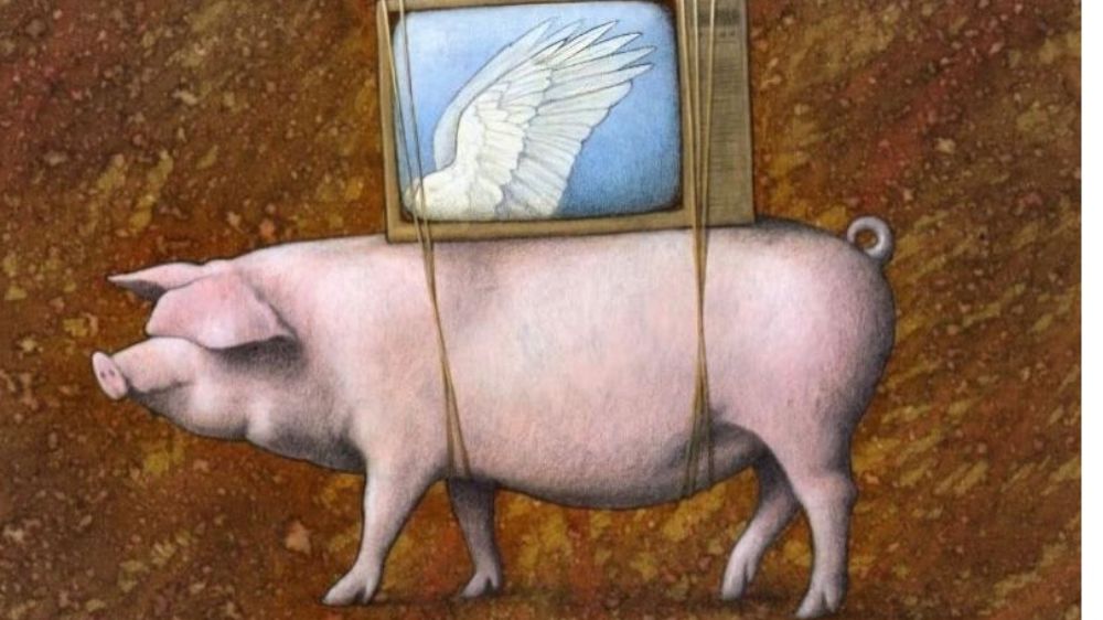 Şükür, Tevekkül ve Kul Olma Sanatı