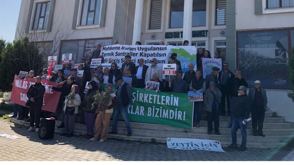 Milas Zeytin Eylemine Datça'dan da Destek Verildi