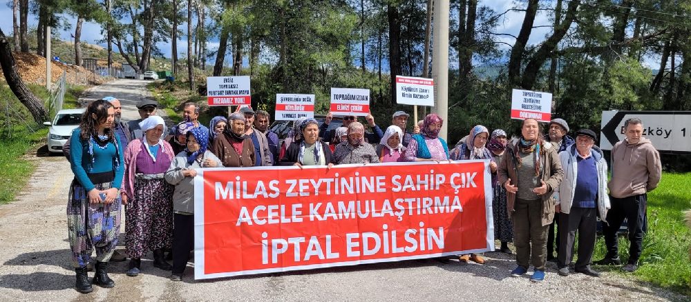 Topraklarına El Konulan Milaslılar Diken Üstünde
