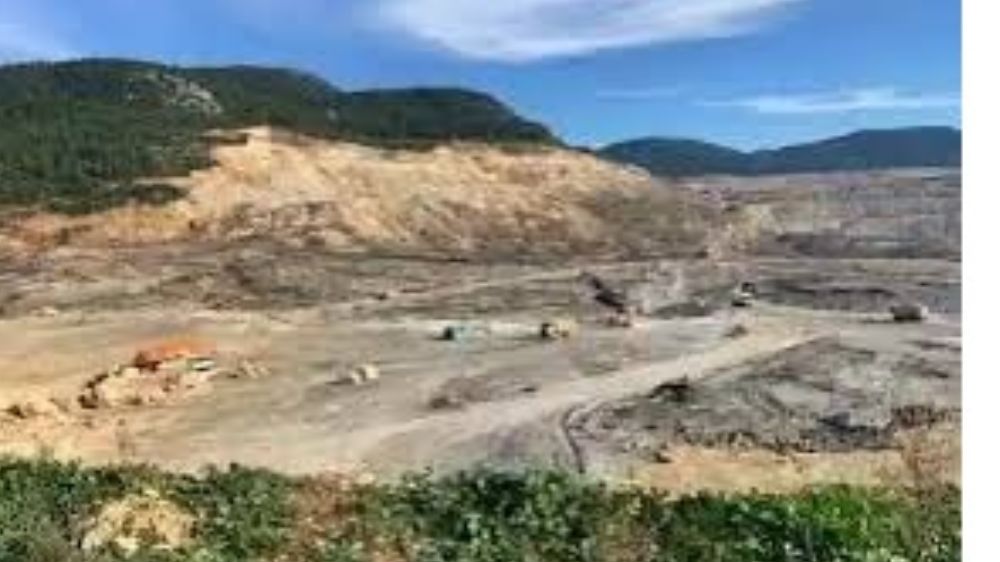 Hobi Bahçesi mi ? Dediniz 