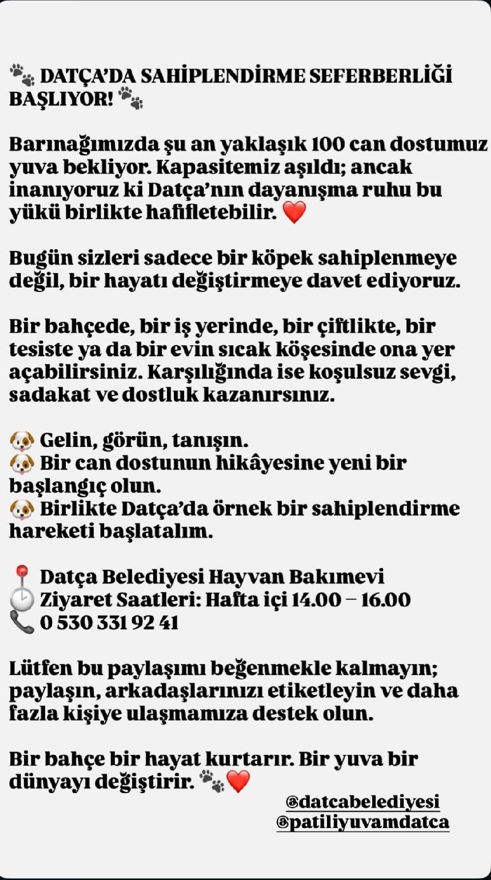 Bir Bahçe Bir Hayat Kurtarır Bir Yuva Bir Dünyayı Değiştirir