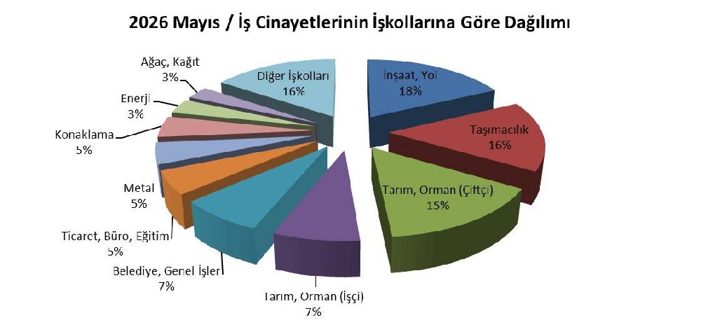 İSİG Meclisi: Mayıs Ayında 212 İş Cinayetinin 7’si Çocuk İşçi