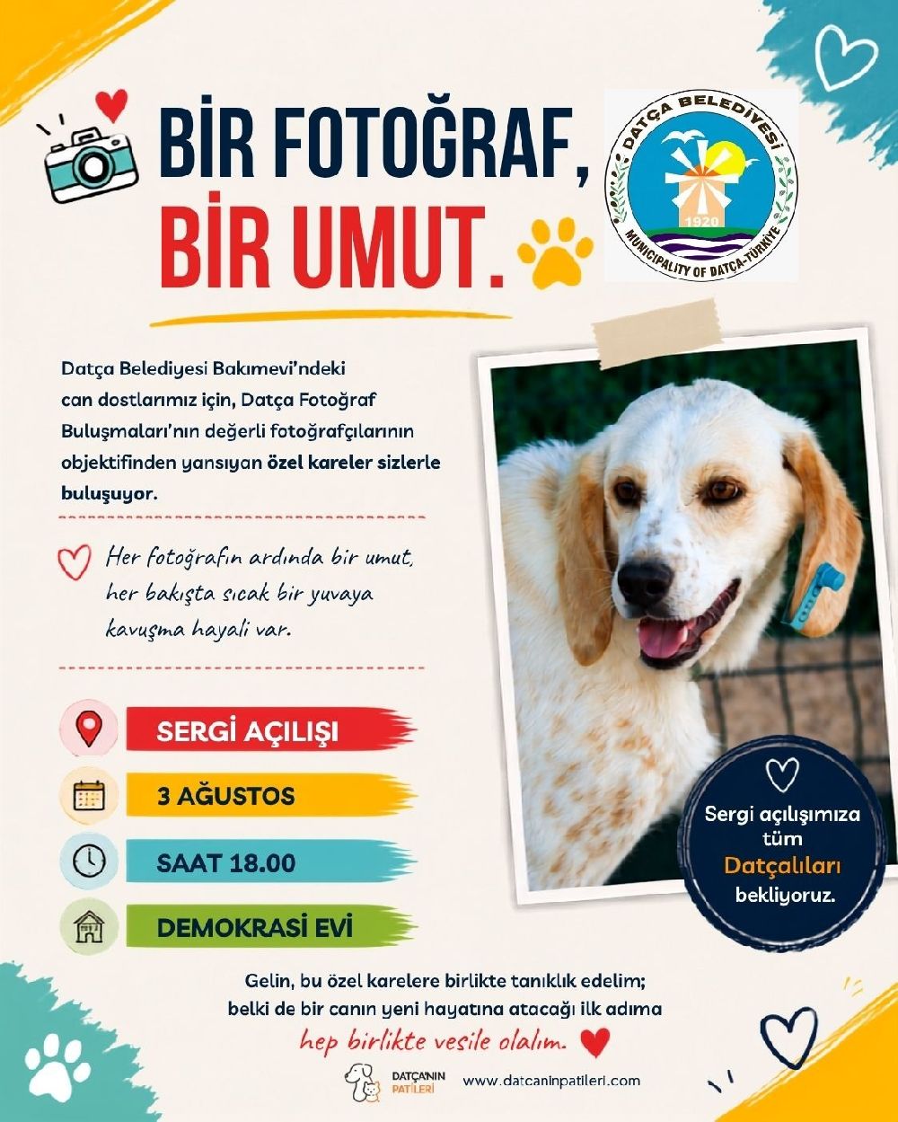 Bir Fotoğraf Bir Umut: 32 Can Dost Sıcak Yuva Arıyor