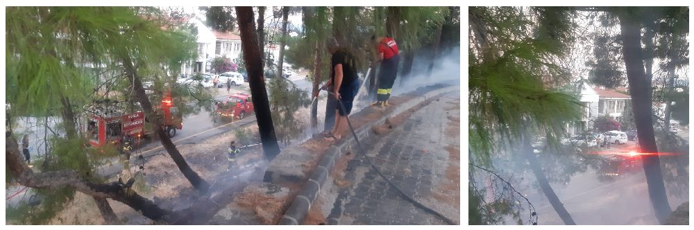 Datça'da Trafolara Dikkat!