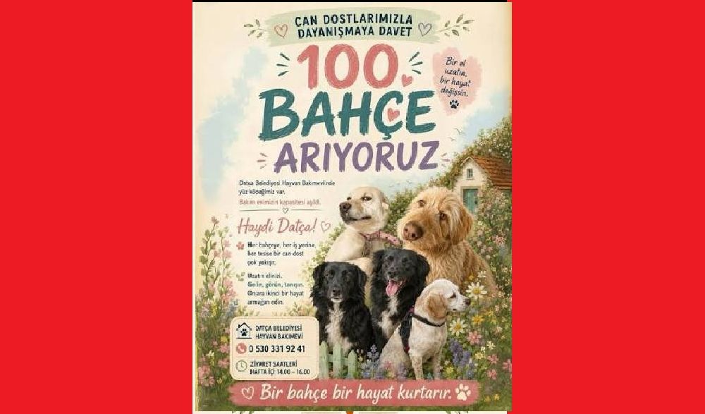 Datça Yaşam Hakları Savunucularından Çağrı Var 