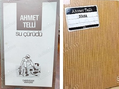 O güzel şair abimizin ardından...
