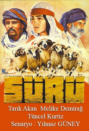  Tarık Akan