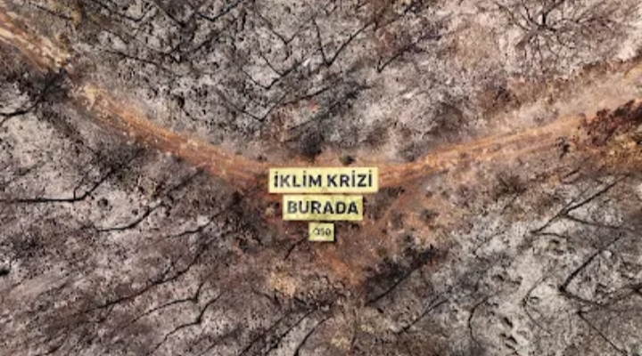 COP31’in Gölgesinde Yangın Yaraları “İklim Krizi Burada”