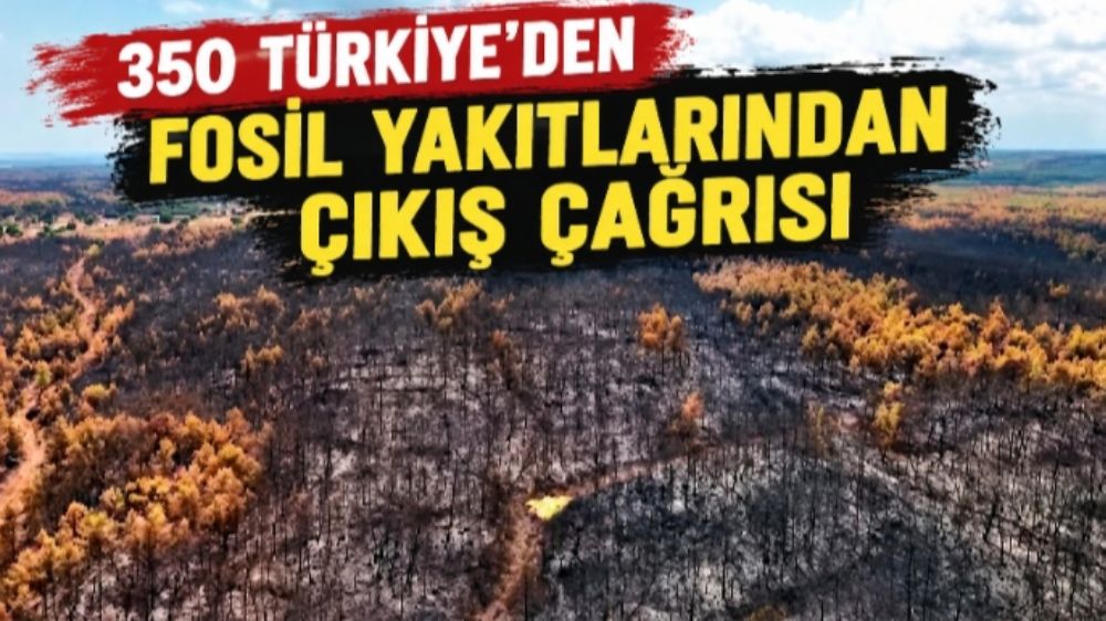 COP31’in Gölgesinde Yangın Yaraları “İklim Krizi Burada”